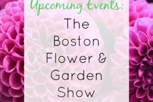 Boston Flower & garden Show