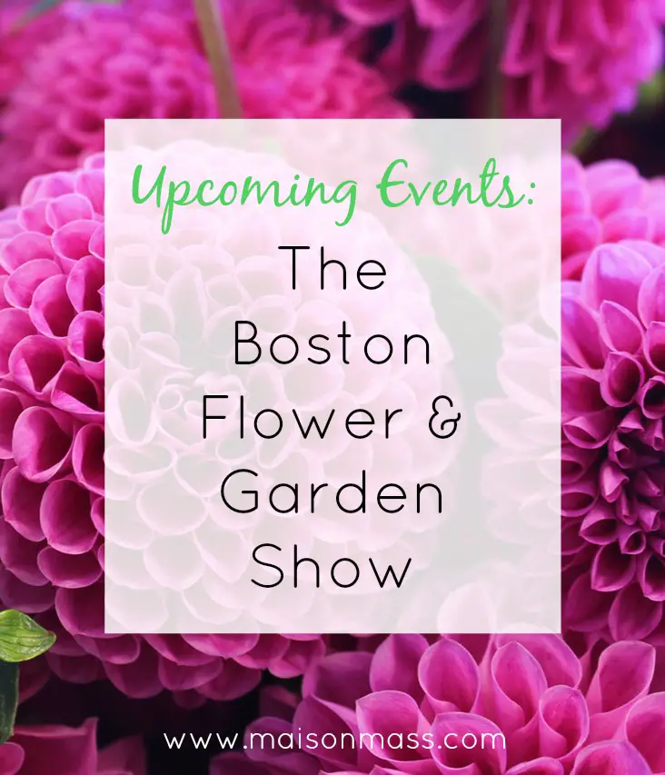 Boston Flower & garden Show