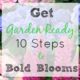 Get Garden Ready; 10 Steps to Bold Blooms