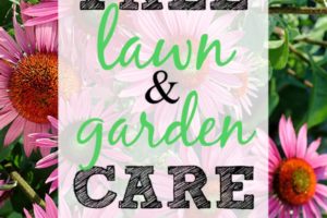 Fall Lawn and Garden Care